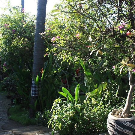 ホテルCleopatra Beach Bungalows ロヴィーナ エクステリア 写真
