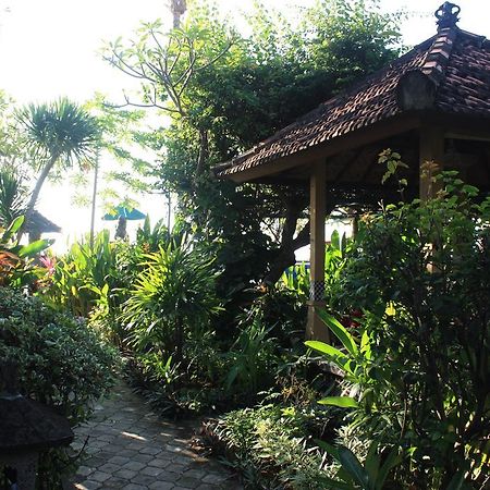 ホテルCleopatra Beach Bungalows ロヴィーナ エクステリア 写真