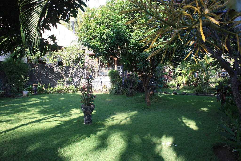 ホテルCleopatra Beach Bungalows ロヴィーナ 部屋 写真